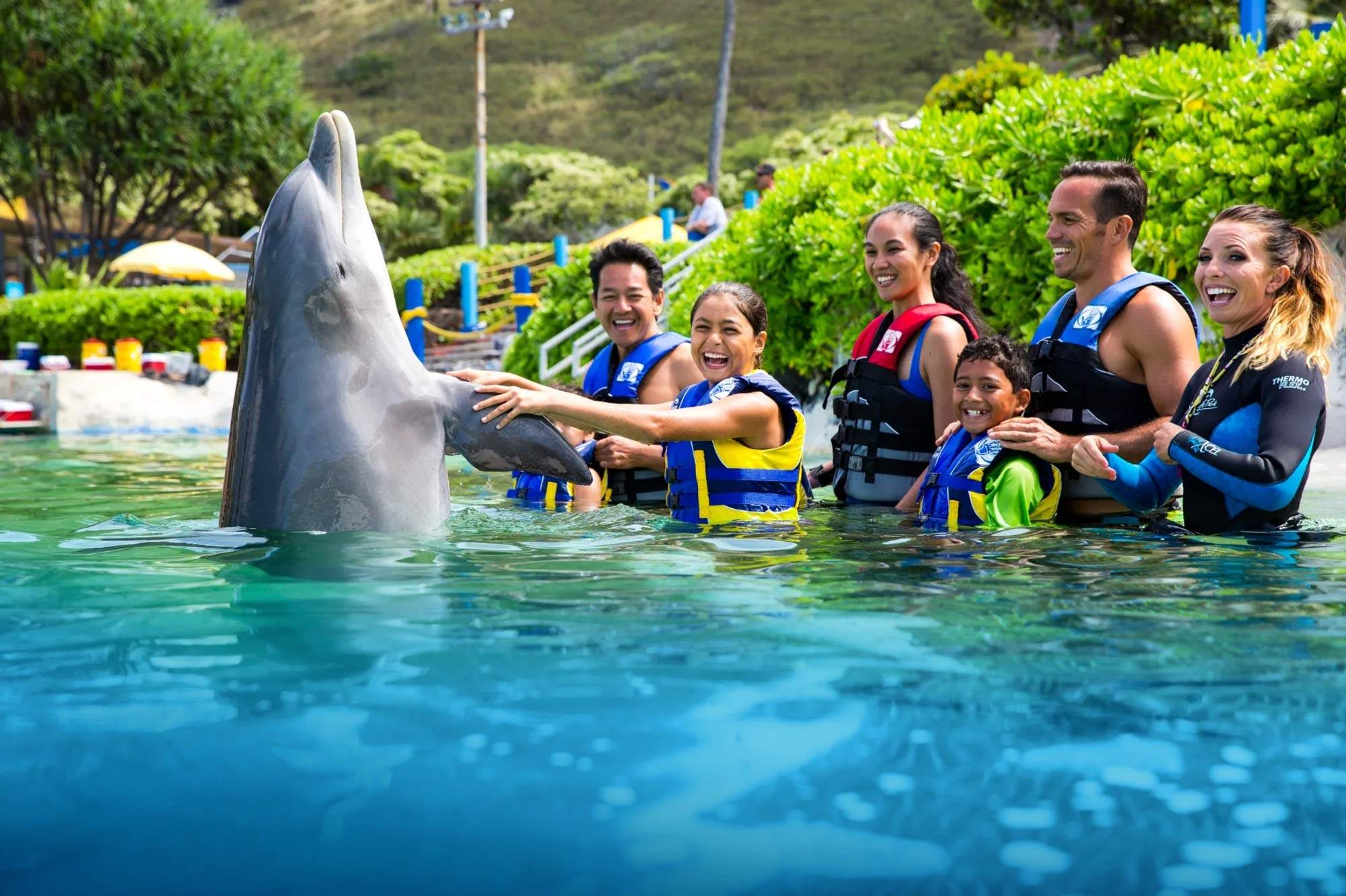 Family petting a bottlenose dolphin in waist deep water at Sea Life Park