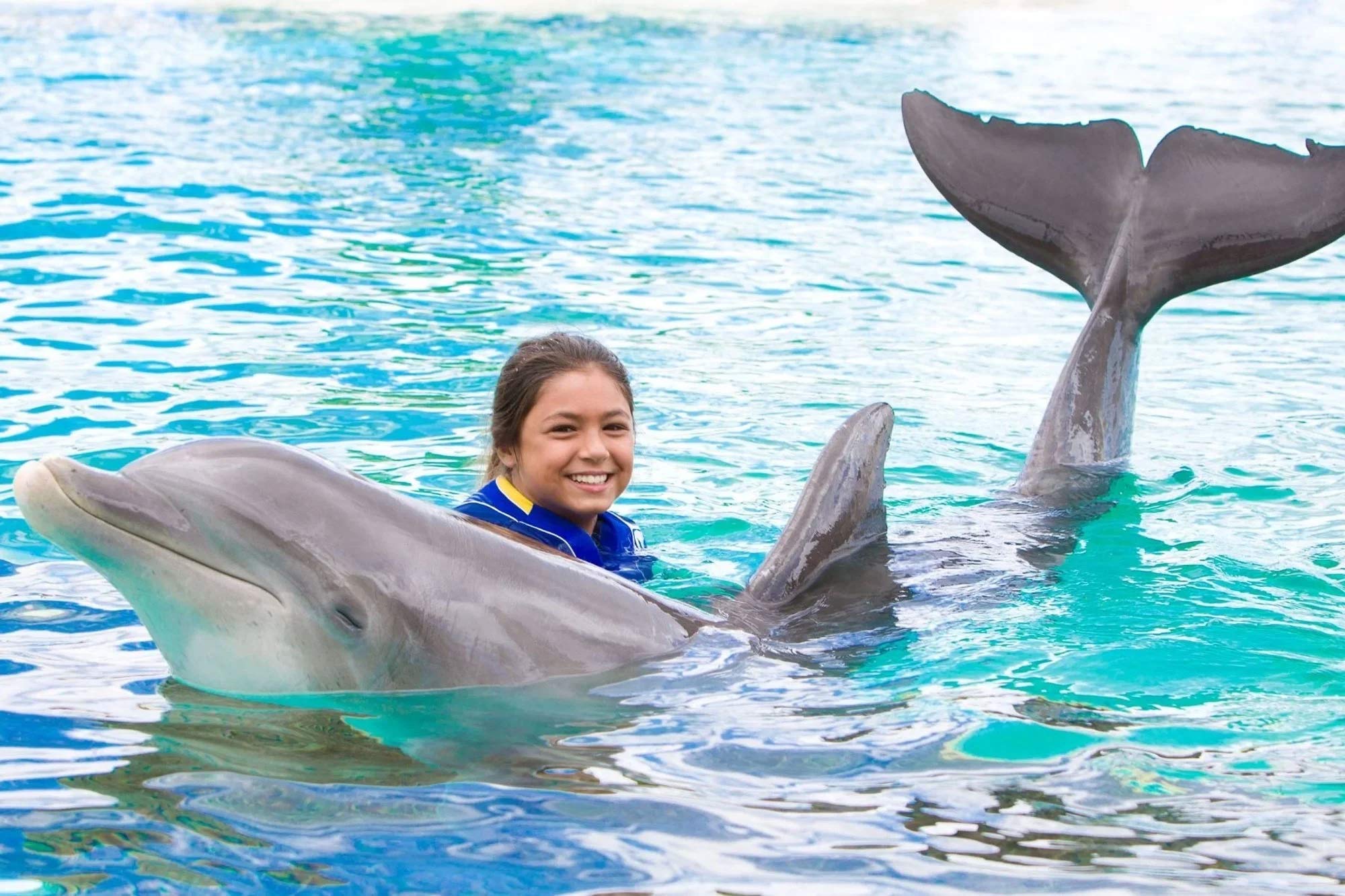 Young swimmer holding a dolphin in open turquoise water at Sea Life Park
