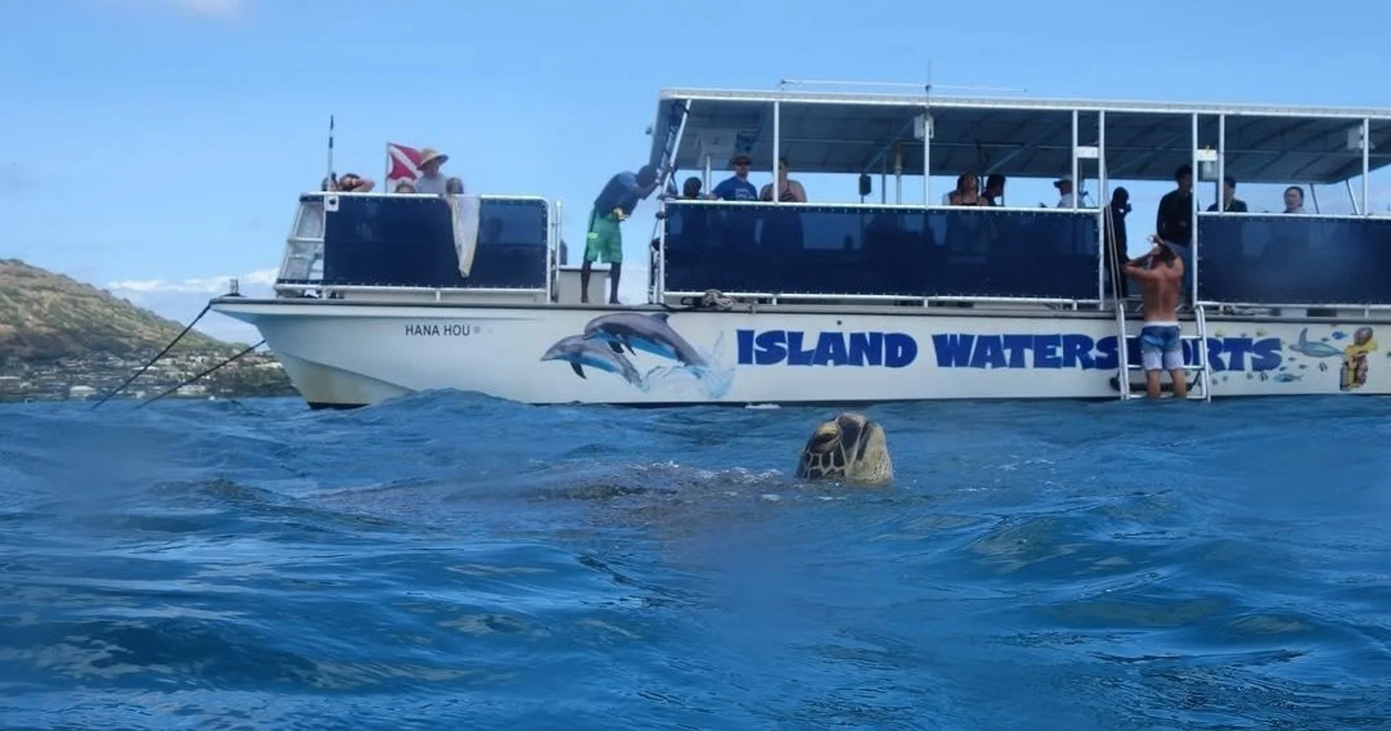 A Hawaiian green sea turtle gliding past a snorkeler over a bright reef in Maunalua Bay